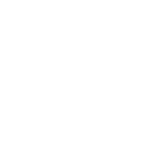 logo (1)