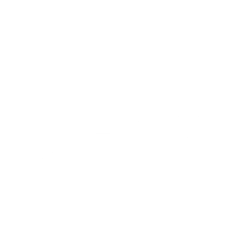 logo (12)