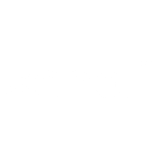 logo (13)