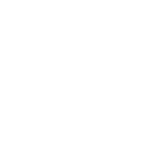 logo (4)