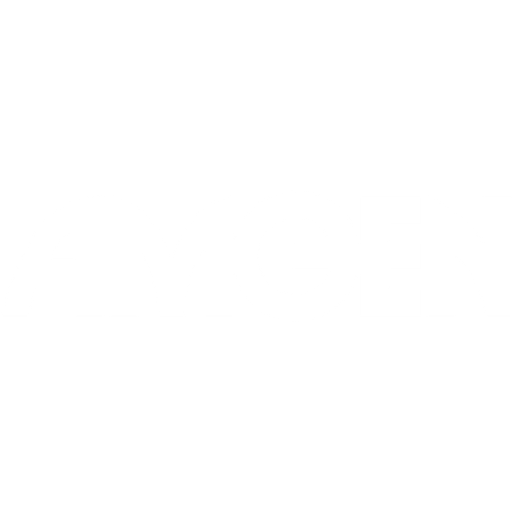 logo (8)