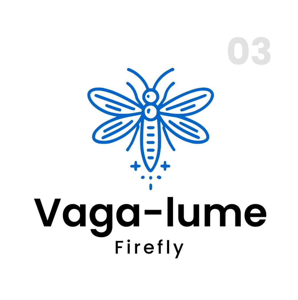 Vaga-lume / Firefly